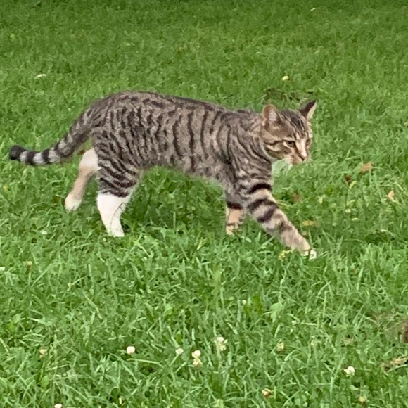 Meet your Posher, Shannon - Picture 8 of 11